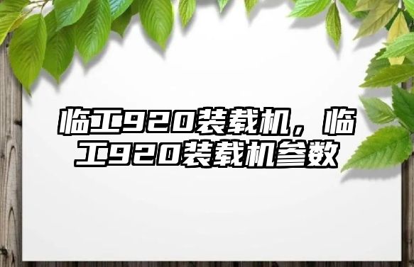 臨工920裝載機，臨工920裝載機參數