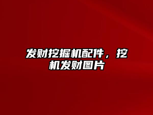 發財挖掘機配件，挖機發財圖片