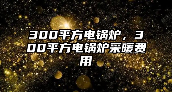 300平方電鍋爐，300平方電鍋爐采暖費用