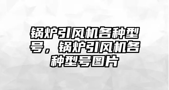 鍋爐引風機各種型號，鍋爐引風機各種型號圖片