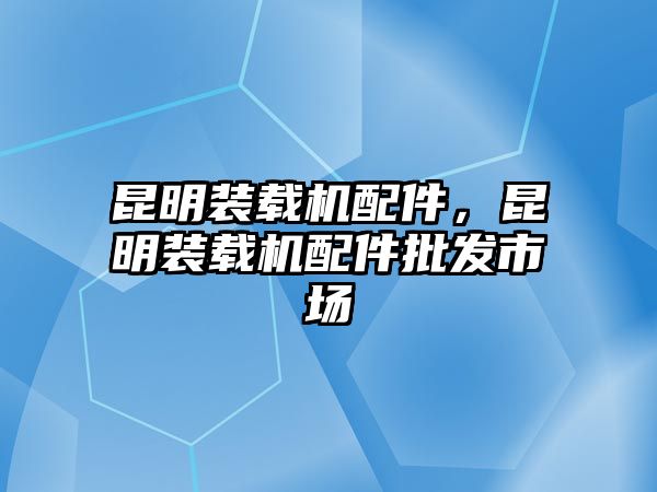 昆明裝載機配件，昆明裝載機配件批發(fā)市場