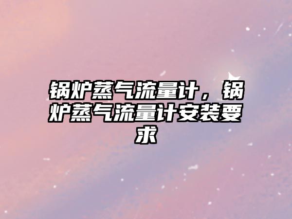 鍋爐蒸氣流量計，鍋爐蒸氣流量計安裝要求