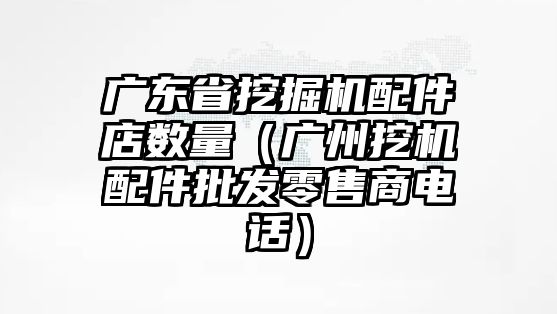 廣東省挖掘機配件店數量（廣州挖機配件批發零售商電話）