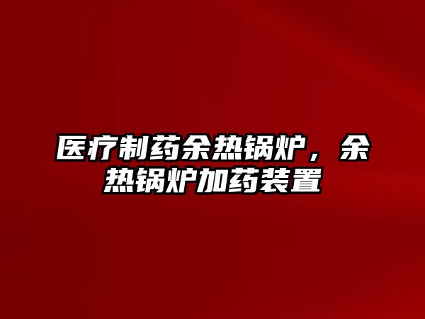 醫療制藥余熱鍋爐，余熱鍋爐加藥裝置