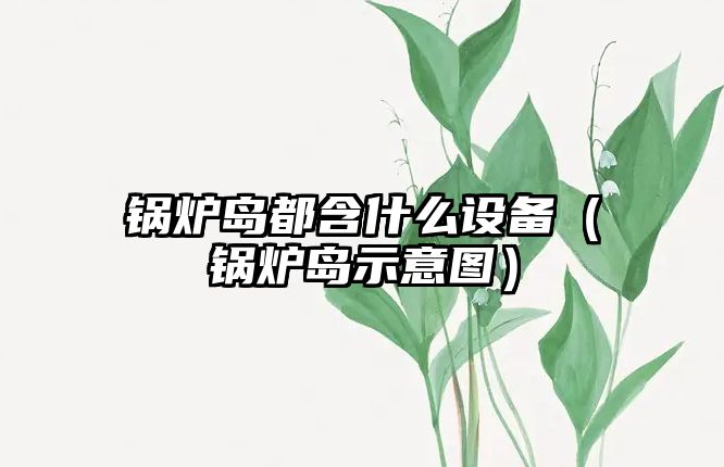 鍋爐島都含什么設(shè)備（鍋爐島示意圖）