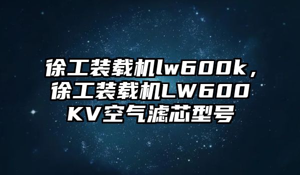 徐工裝載機lw600k，徐工裝載機LW600KV空氣濾芯型號