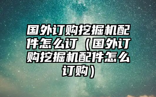 國外訂購挖掘機配件怎么訂（國外訂購挖掘機配件怎么訂購）