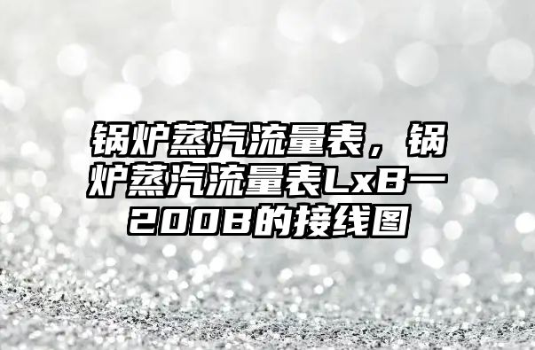 鍋爐蒸汽流量表，鍋爐蒸汽流量表LxB一200B的接線圖