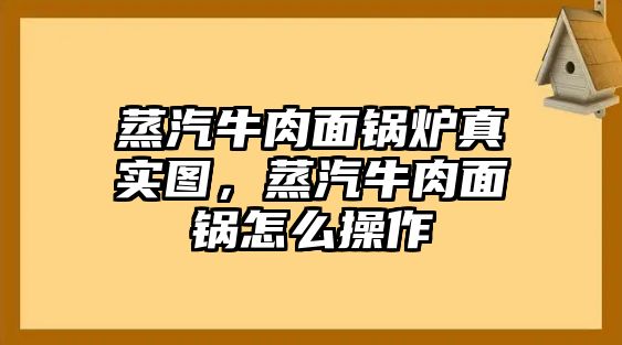 蒸汽牛肉面鍋爐真實圖，蒸汽牛肉面鍋怎么操作