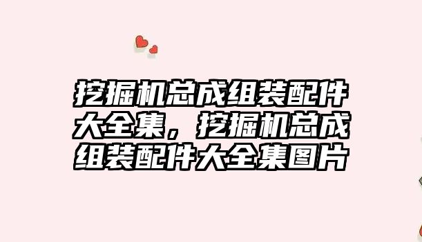 挖掘機總成組裝配件大全集，挖掘機總成組裝配件大全集圖片