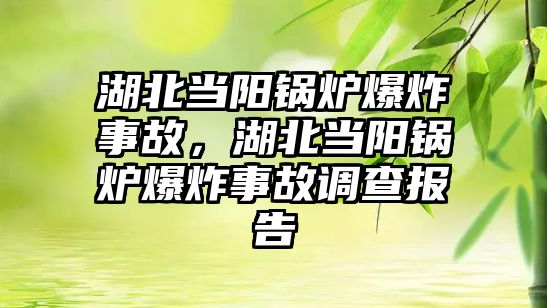 湖北當陽鍋爐爆炸事故，湖北當陽鍋爐爆炸事故調查報告