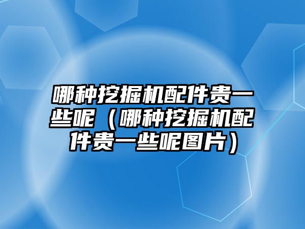 哪種挖掘機配件貴一些呢（哪種挖掘機配件貴一些呢圖片）