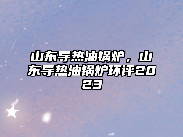 山東導(dǎo)熱油鍋爐，山東導(dǎo)熱油鍋爐環(huán)評(píng)2023