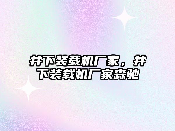 井下裝載機廠家，井下裝載機廠家森馳