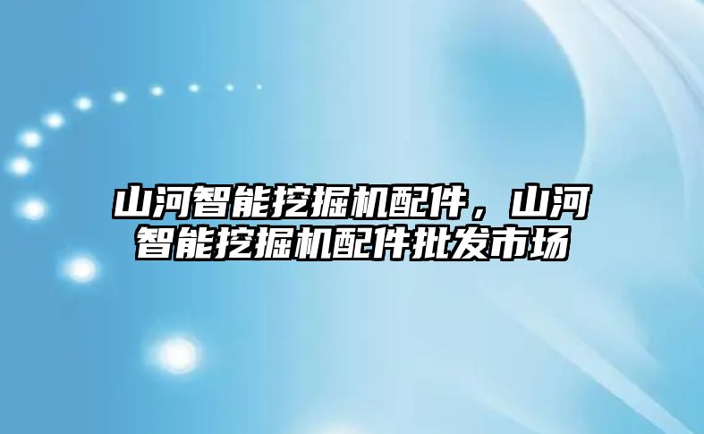 山河智能挖掘機配件，山河智能挖掘機配件批發(fā)市場