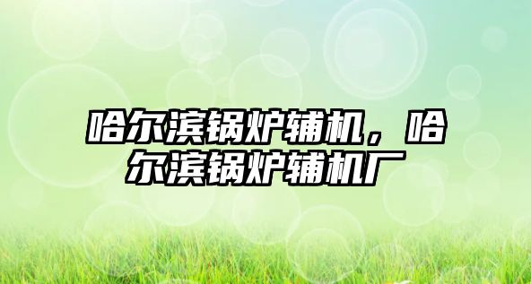 哈爾濱鍋爐輔機，哈爾濱鍋爐輔機廠