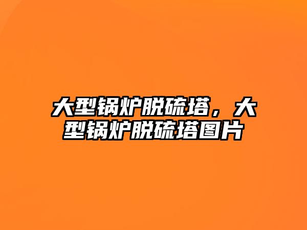 大型鍋爐脫硫塔，大型鍋爐脫硫塔圖片