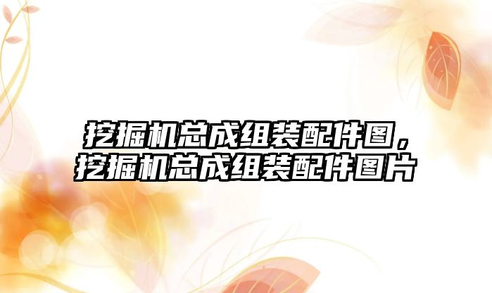 挖掘機總成組裝配件圖，挖掘機總成組裝配件圖片