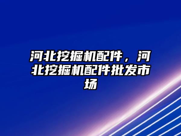 河北挖掘機配件，河北挖掘機配件批發市場