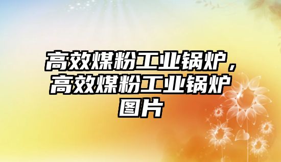 高效煤粉工業(yè)鍋爐，高效煤粉工業(yè)鍋爐圖片