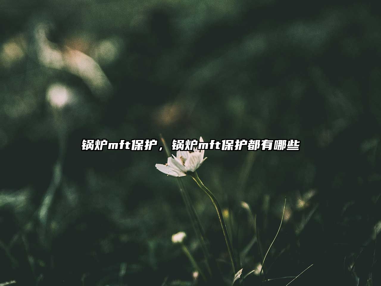 鍋爐mft保護，鍋爐mft保護都有哪些