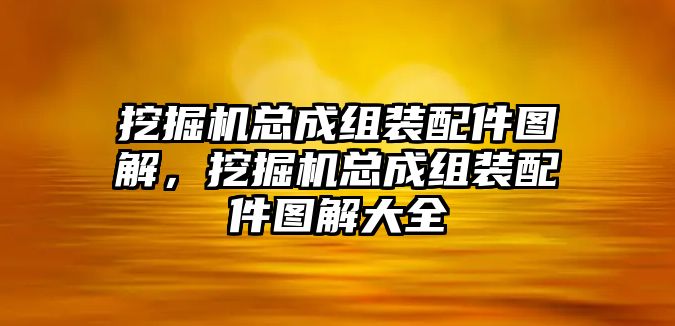 挖掘機總成組裝配件圖解，挖掘機總成組裝配件圖解大全