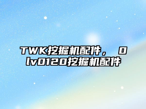 TWK挖掘機配件，ⅴ0lv0120挖掘機配件