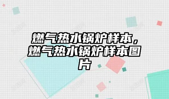 燃氣熱水鍋爐樣本，燃氣熱水鍋爐樣本圖片