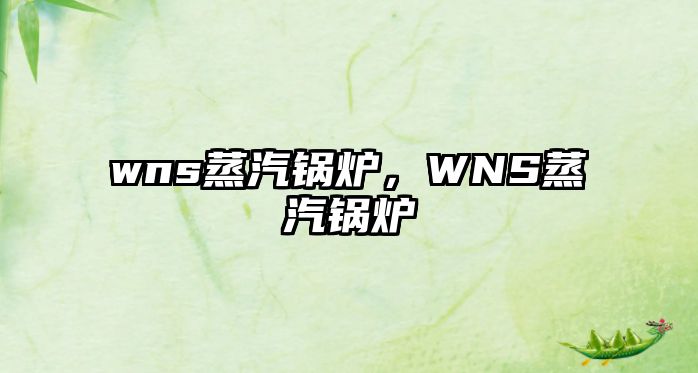 wns蒸汽鍋爐，WNS蒸汽鍋爐