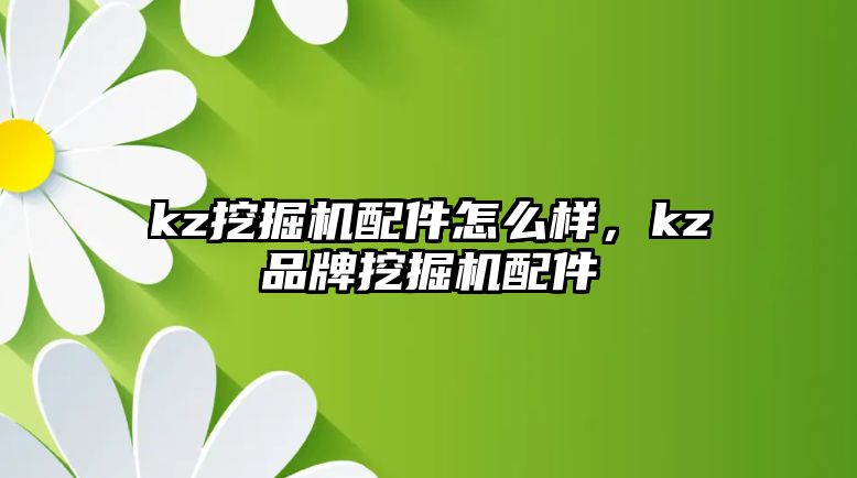 kz挖掘機配件怎么樣，kz品牌挖掘機配件