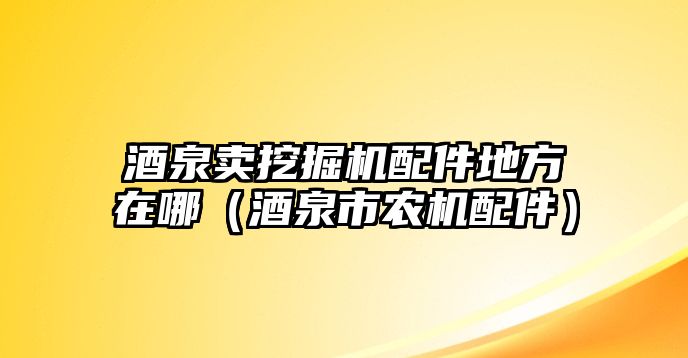 酒泉賣挖掘機配件地方在哪（酒泉市農機配件）