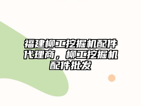 福建柳工挖掘機配件代理商，柳工挖掘機配件批發