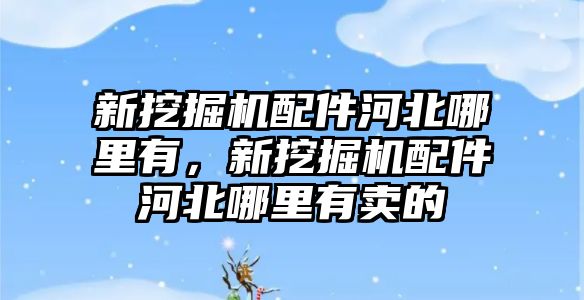 新挖掘機配件河北哪里有，新挖掘機配件河北哪里有賣的