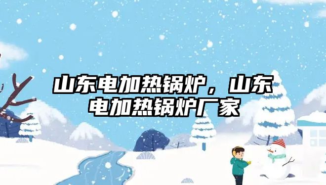 山東電加熱鍋爐，山東電加熱鍋爐廠家