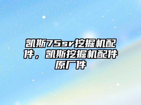 凱斯75sr挖掘機配件，凱斯挖掘機配件原廠件