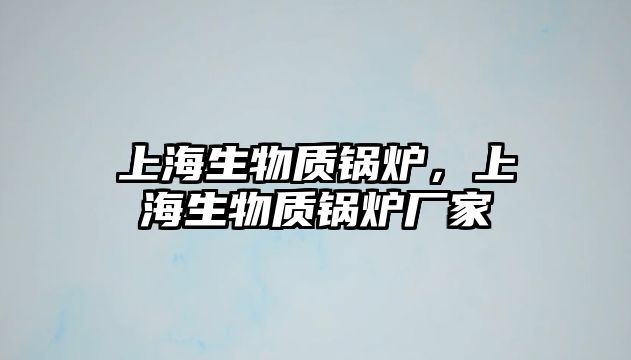 上海生物質鍋爐，上海生物質鍋爐廠家