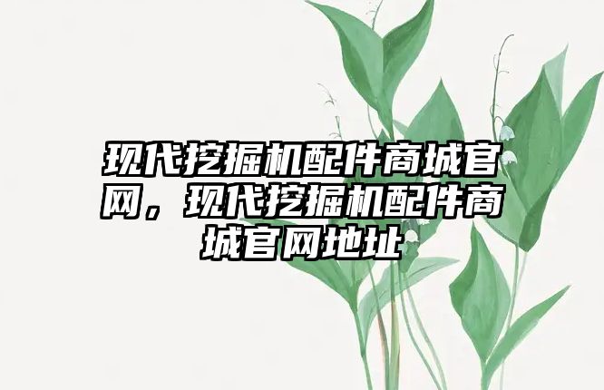 現代挖掘機配件商城官網，現代挖掘機配件商城官網地址