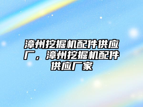 漳州挖掘機配件供應廠，漳州挖掘機配件供應廠家