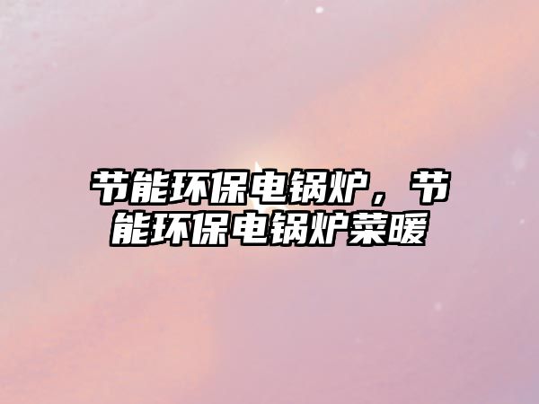 節能環保電鍋爐，節能環保電鍋爐菜暖