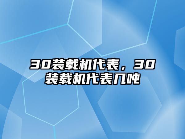 30裝載機代表，30裝載機代表幾噸