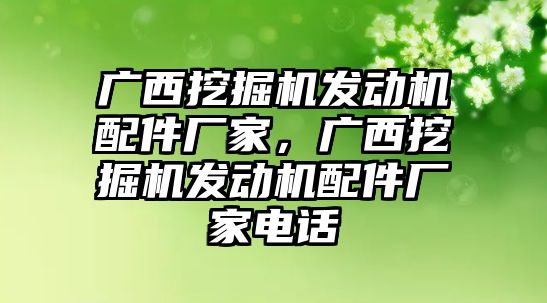 廣西挖掘機發動機配件廠家，廣西挖掘機發動機配件廠家電話