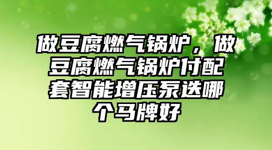 做豆腐燃?xì)忮仩t，做豆腐燃?xì)忮仩t付配套智能增壓泵迭哪個馬牌好