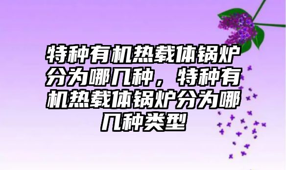 特種有機熱載體鍋爐分為哪幾種，特種有機熱載體鍋爐分為哪幾種類型