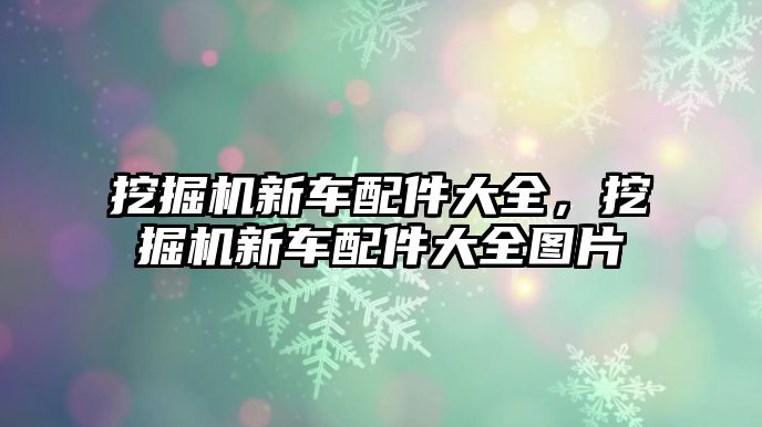 挖掘機新車配件大全，挖掘機新車配件大全圖片