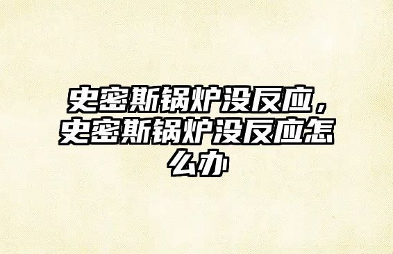 史密斯鍋爐沒反應，史密斯鍋爐沒反應怎么辦