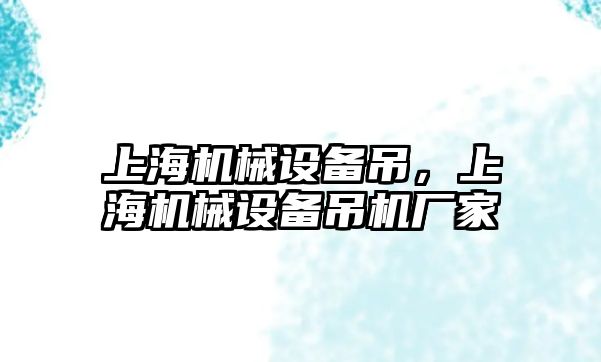 上海機械設(shè)備吊，上海機械設(shè)備吊機廠家