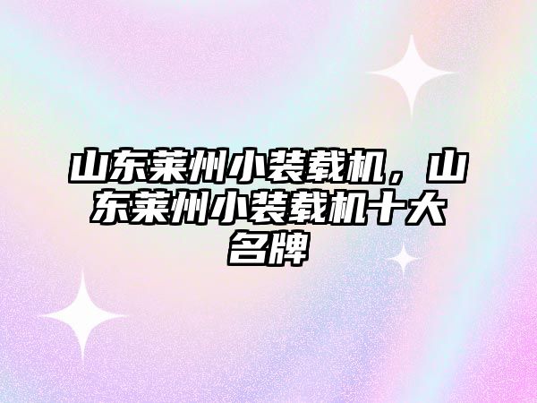 山東萊州小裝載機，山東萊州小裝載機十大名牌