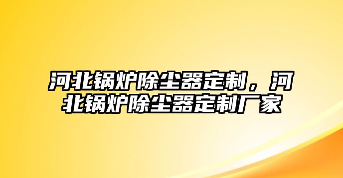 河北鍋爐除塵器定制，河北鍋爐除塵器定制廠家