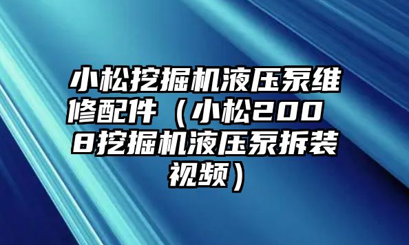 小松挖掘機液壓泵維修配件（小松200 8挖掘機液壓泵拆裝視頻）