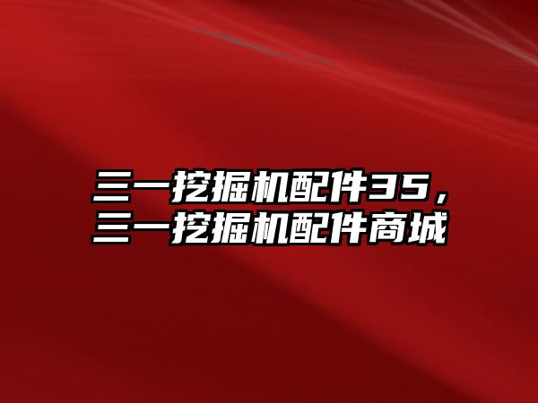 三一挖掘機(jī)配件35，三一挖掘機(jī)配件商城